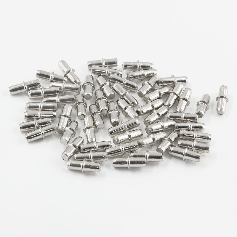 Pin Rak Buku 21 pcs, Desain Pa - Furniture Hardware Material ulasan dan harga